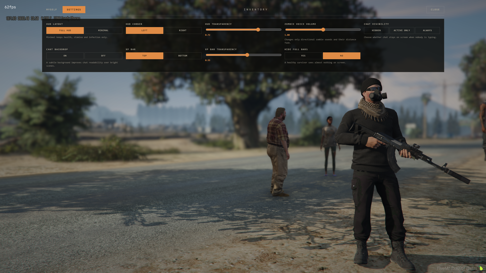 Player HUD settings